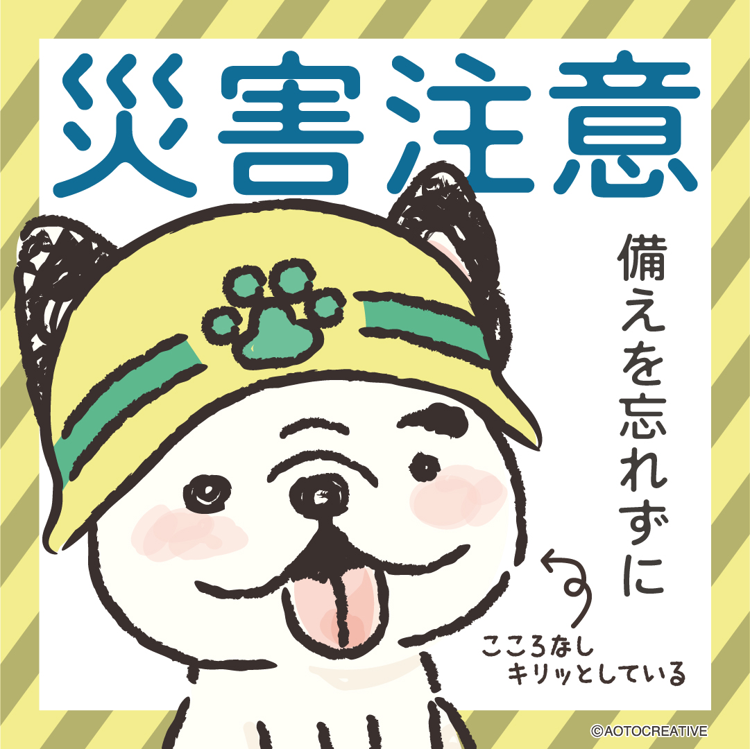 災害注意