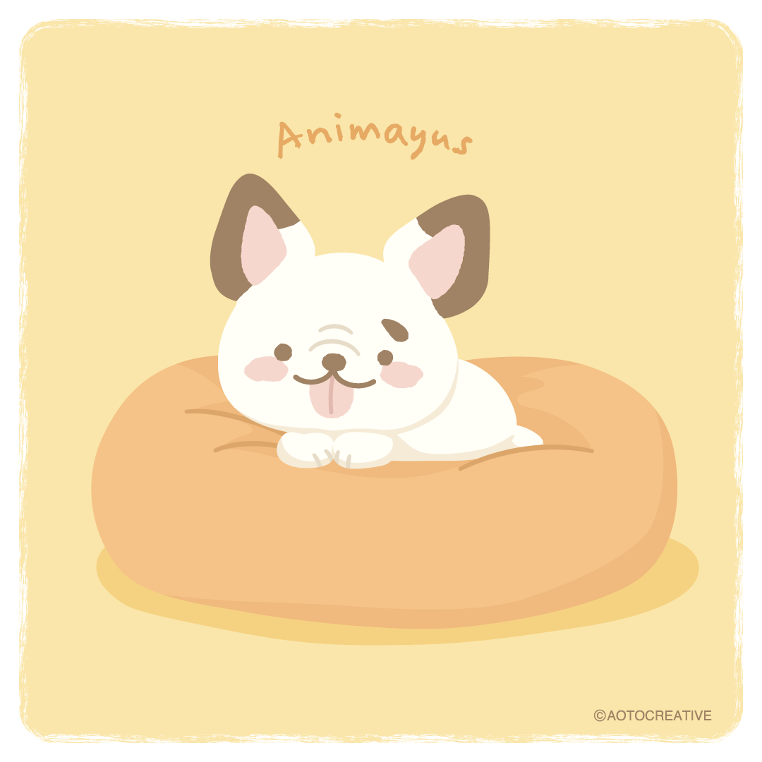 蛍のお気に入りベッド