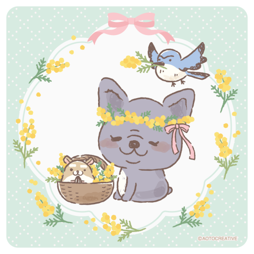 春を告げるミモザの魔法！ - Blog | 株式会社アオトクリエイティブ キャラクター