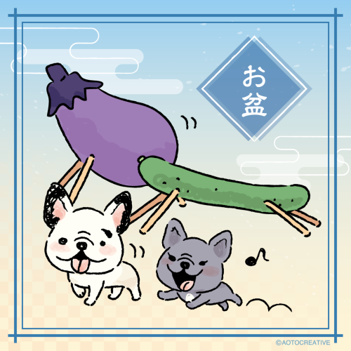 Animayus_Instagram_250808_高見_修正