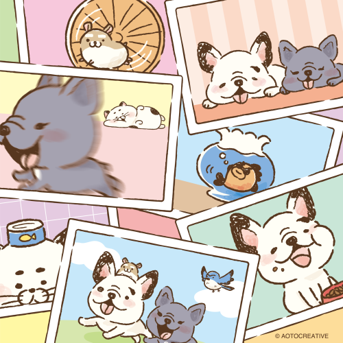 Animayus_Instagram_250924