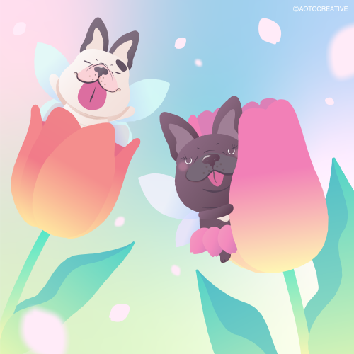 犬聞録_Instagram_240408