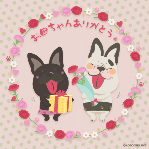 犬聞録_Instagram_240512_2