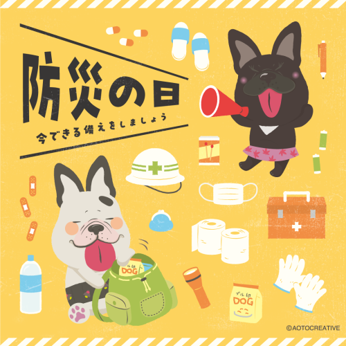 犬聞録_Instagram_250901