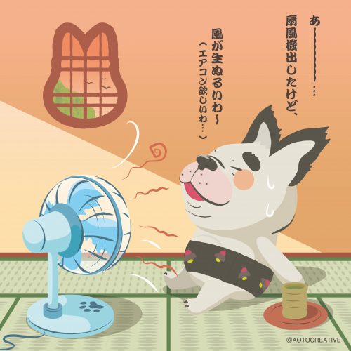 kb_240628