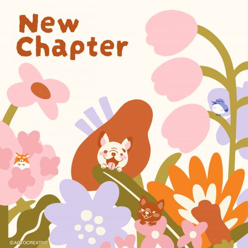 newchapter